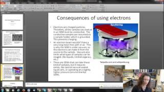 Scanning Electron Microscopy (SEM) Basics