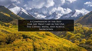 Best Print Lab in America? The Ultimate Showdown of Canvas, Metal, and Acrylic Fine Art Prints!