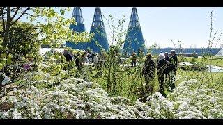 Die Gartenlandschaften des Fürsten Pückler - natürlich mit Bruns Pflanzen