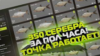 Точка заработала! Старый Острог, 350 серебра за ПОЛ ЧАСА! Точка на леща! Русская рыбалка 4,фарм