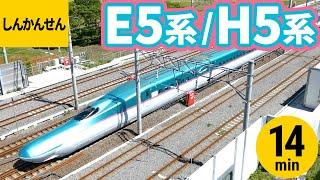 【しんかんせん】E5系/H5系【はやぶさ・はやて・やまびこ・なすの】東北新幹線・北海道新幹線 走行シーンまとめ〈14分〉Super-Express Shinkansen