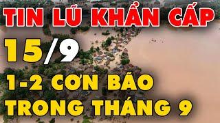  TIN LŨ KHẨN CẤP: Khả năng xuất hiện 1-2 cơn bão trong tháng 9, lũ quét Làng Nủ 66 người tử vong