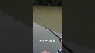 배스의 예민한 입질 꼬리만 물고 있네요~ #fishing #짬낚 #배스 #bassfishing #힐링낚시 #배스낚시