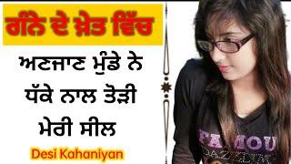 ਅਣਜਾਣ ਮੁੰਡੇ ਨ ਤੋੜੀ ।Naag Punjabi Kahaniyan।chache di kudi। Aman kahaniyan।Balle Punjabi Kahaniy