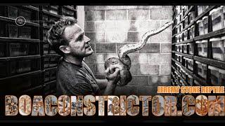 Jeremy Stone Reptiles Biography Boaconstrictor.com