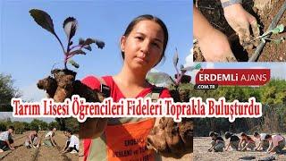 Tarım Lisesi Öğrencileri Fideleri Toprakla Buluşturdu