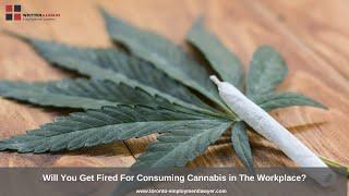 Can You Get Fired For Consuming Cannabis in The Workplace?