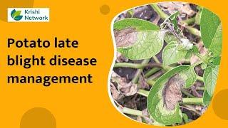 Potato Late Blight Disease Management | Information | | krishi Network |