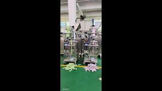 Granule Packaging Machine