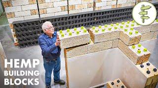 Amazing Lego-Style HEMP BLOCKS Make Building a House Quick, Easy & Sustainable