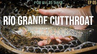 IN SEARCH OF AMERICA'S FIRST TROUT || For Wild's Sake: The Rare Trout Chronicles | Episode 5