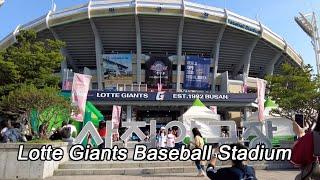 【SEOUL KOREA】Sajik Baseball Stadium Tour, the home stadium of Lotte Giants