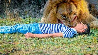 Lion Attack Man in Forest | Lion Attack Hunter | Lion Attack Stories | Fun Made Movie Part 47