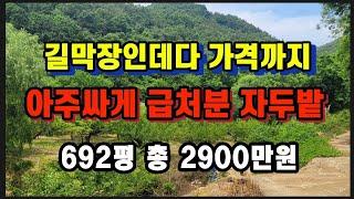 (93번)문의:054-510-7776 재업 주인사정상 급매물 남향의자두밭#의성땅#의성부동산#군위땅#군위부동산#안동땅#영천땅#경북땅#의성땅매매#군위땅매매#부동산매매#땅매매