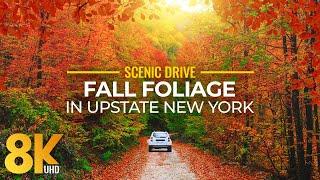 Fall Foliage in Upstate New York - Colorful Autumn Vibes in 8K Scenic Drive Video