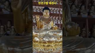 #옥천사 #소원성취 #korea #사찰순례