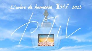 2023夏ライブ-カケル L'arbre de harmonie