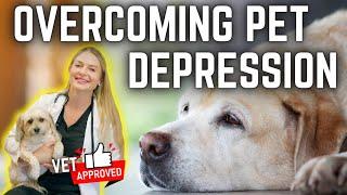 Four Legged Blues: Helping Your Pets Overcome Depression?