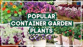  Instant Garden Glow Up: 7 STUNNING Plants to ROCK Your Container Garden! 🪴