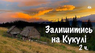 Карпати. Зайшов в покинуту хату, ночую першу ніч. Залишитись на Кукулі 2 Wildlife of the Carpathians