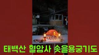 태백산 혈암사 솟을용궁기도 #도법기도#용궁기도