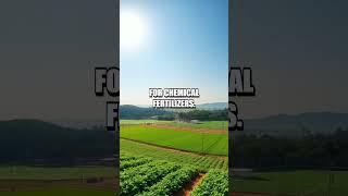 Exploring AI-Driven Soil Monitoring in Agriculture