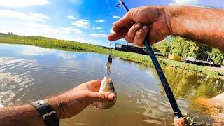 PESCA EN PRIMERA PERSONA CON SEÑUELOS, pesca urbana