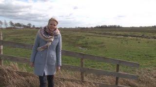 GPTV: Weidevogels overleven door Friese samenwerking