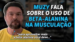 BETA-ALANINA É UM BOM SUPLEMENTO PARA MUSCULAÇÃO?  | Muzy Explica