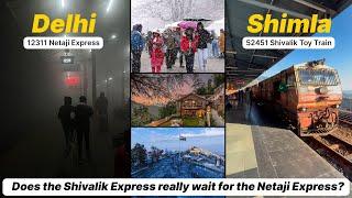 Delhi to Shimla by Train: Netaji Express 12311, Shivalik Toy Train 52451, and Shared Cab Challenges