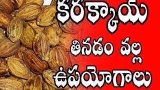 Top Health Benefits of Terminalia Chebula (Karakaya) || Asthma Treatment || Telugu Helath Tips