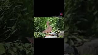 동화같은정원 / 스토리텔링정원품격있는 정원을 만듭니다.