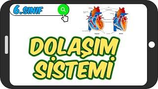 Dolaşım Sistemi / Taktikli Konu Anlatımı 🩺 6.Sınıf Fen #2023