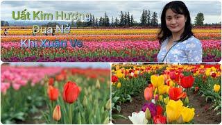 Tulips Farm 2019-Cánh Đồng Hoa Uất Kim Hương -Family Phiêu Lưu-Travel Oregon - Vlog 1