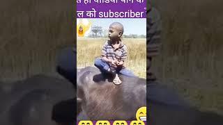 Avnish ke vines video short #comedyfilms #avinesh #avinash #funny #comedymovies  #comedy