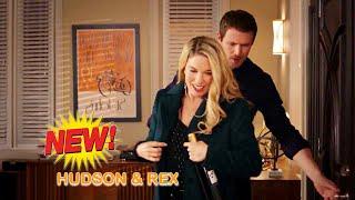 Hudson & Rex 2024 | Hudson & Rex New Episode 2024 | Hudson & Rex Full Episode 2024