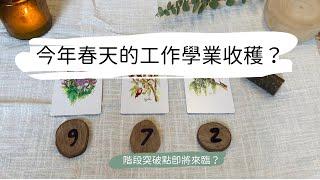 塔羅占卜今年春季（近三個月）的工作學業收穫？階段突破點來臨了嗎？ 艸艸Tarot | Pick a card.