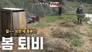 [April-4] Spring composting and making wormwood enzymes.