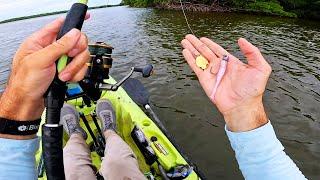 THIS Lure Always Catches In the Florida Everglades - Epic All Day Fishing Mission w/ Bixpy Motor