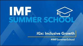 Introducing the First IMF Summer School