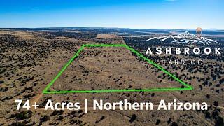 Northern Arizona Land For Sale | 74+ Acre Wooded Ranch Bordering Public Land | Ashbrook Land Co