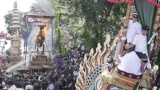 Puncak #pelebon Cokorda Istri Rai Dharmawati #puriubud 10 juni 2024