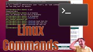 [Environment Setup 3] Introduction to Linux shell commands in bash
