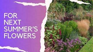 What to do in your garden borders now... key jobs for autumn (fall) and spring