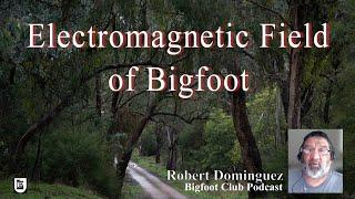 Electromagnetic Field of Bigfoot