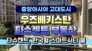 한림건축그룹의 해외진출, 우즈베키스탄 타슈켄트 그리고, 한국형 스마트 시티