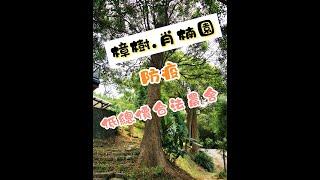 樟樹 宵楠園 防疫低總價合法農舍