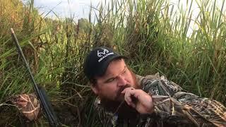 Justin Martin Calling in Blue-Winged Teal