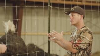 Bear Hollow Ranch Ostrich Farming | Northwest Arkansas ALIVE | (Season 05, Episode 09)