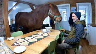 WHY is there a HORSE IN THE HOUSE?? // Coffee Break with Earl!! #412